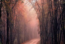 意天空：泽林斯基、迪马尔科等恢复训练，小图拉姆预计周五训练.