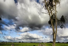 官方：布朗尼-詹姆斯将身披9号球衣.